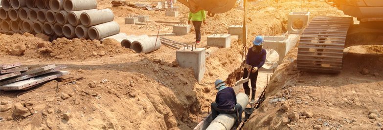 An inflatable seal or a beast?