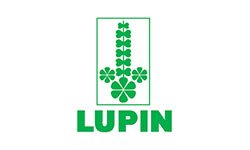 lupin