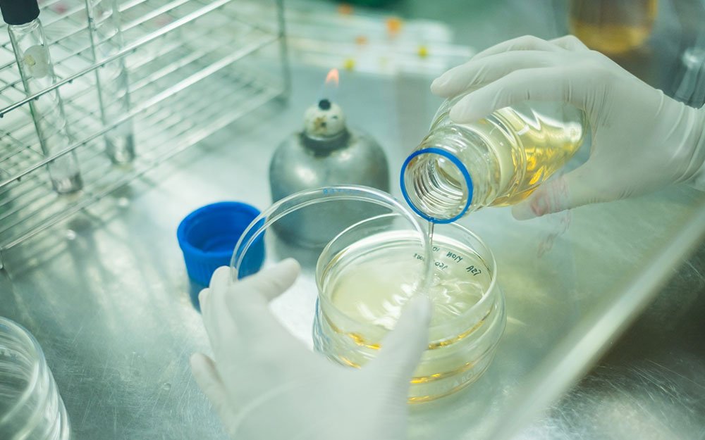 Transfer Of PH Solvents In Virology Labs & Fungal Growth Incubators