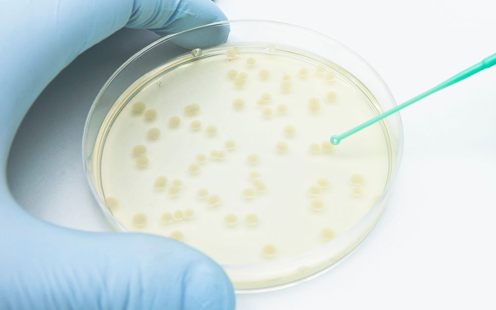 Transfer Of PH Specific Liquids For Cell Culture